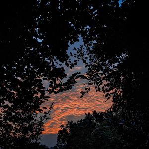 互联网广告小驴导航
