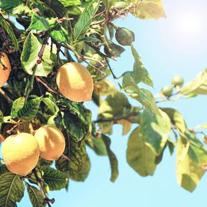 互联网广告小驴导航
